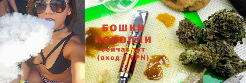 МАРИХУАНА White Widow  купить наркотик  Грайворон 